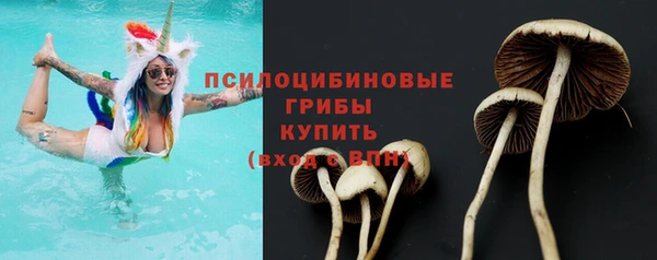не бодяженный Киренск