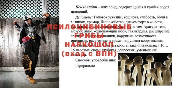 стафф Киреевск