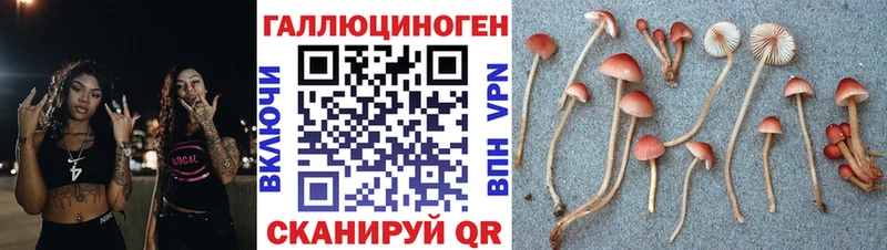 Псилоцибиновые грибы мицелий  Купить закладки  Вышний Волочёк 